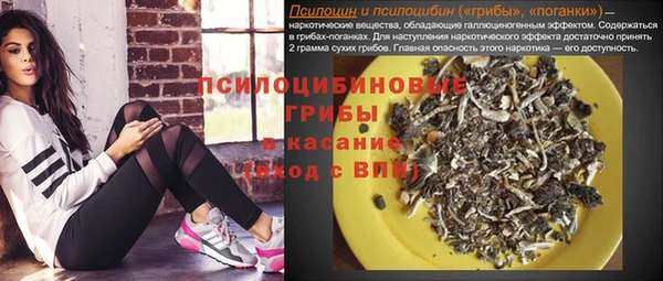синтетический гашиш Бердск