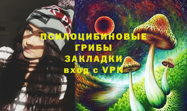 индика Абдулино