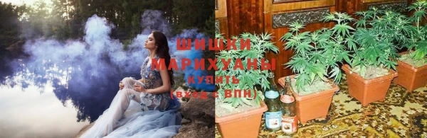 прущие крисы Абинск