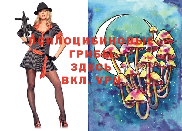 индика Абдулино