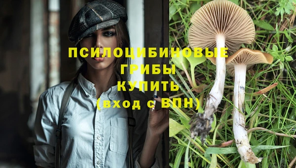 дмт Артём